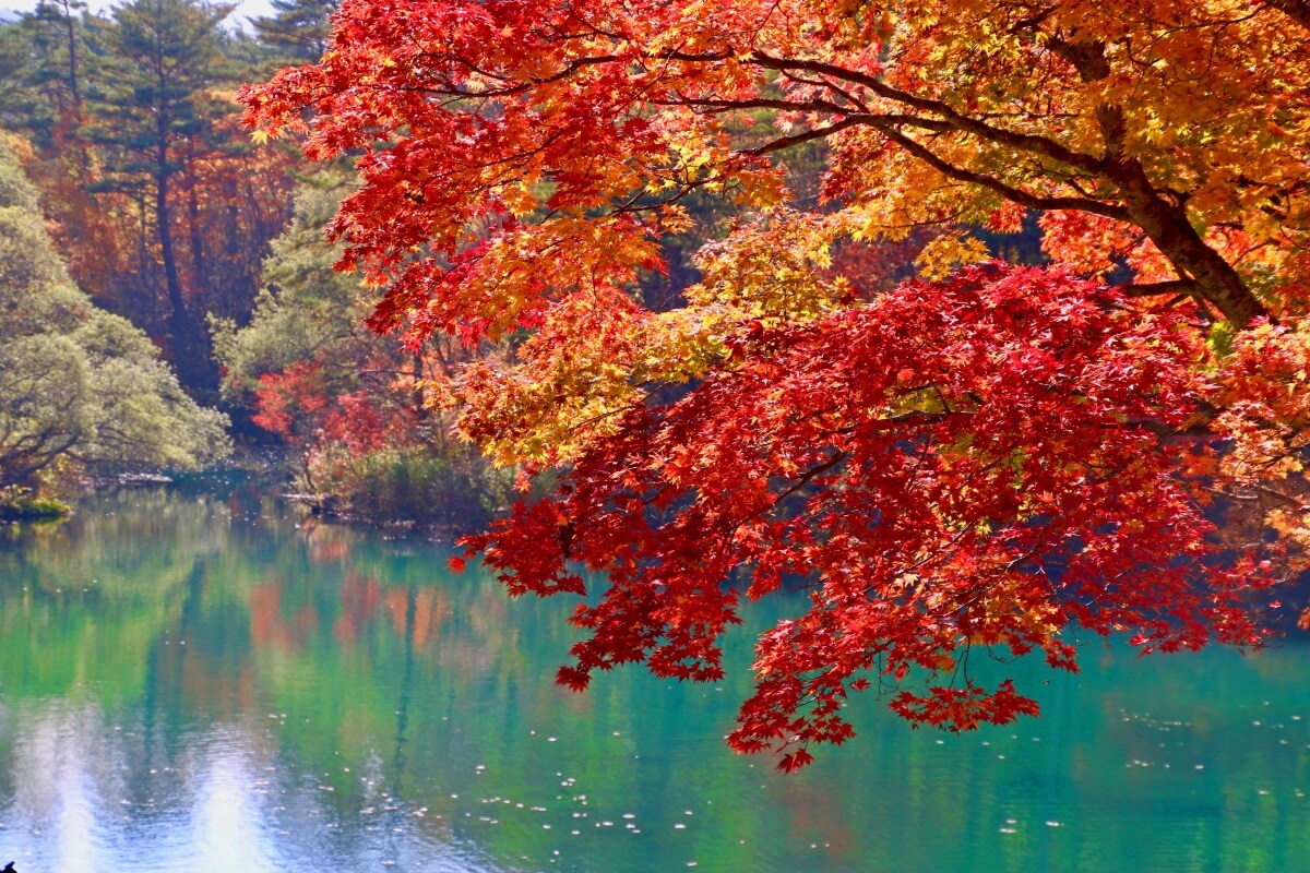 9. ทะเลสาบโกชิคินุมะ ฟุคุชิมะ  (Goshikinuma Lake, Fukushima)