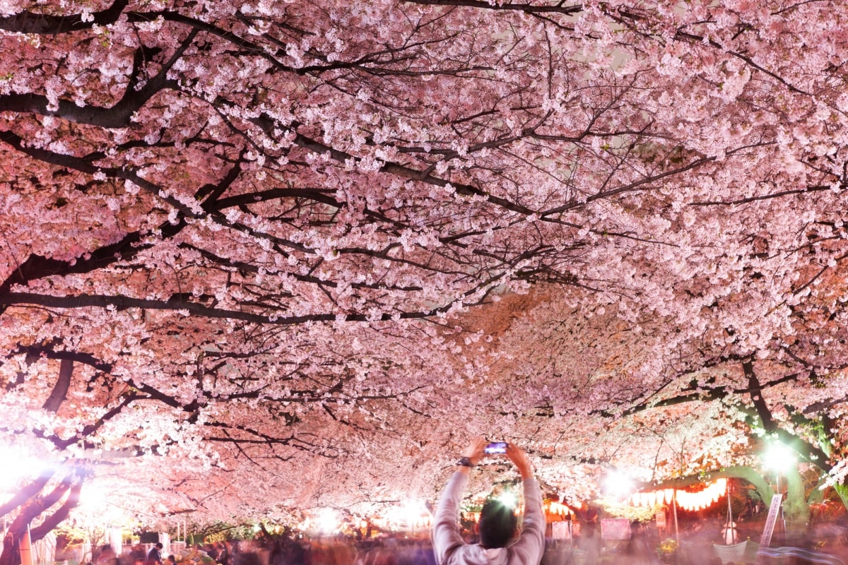 6. สวนสาธารณะอุเอโนะ (Ueno Park) สวนดังใกล้สถานีรถไฟที่ไม่มีใครไม่รู้จัก