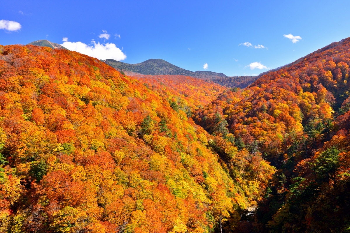 4. ภูเขาฮักโกดะ (Mount Hakkoda)