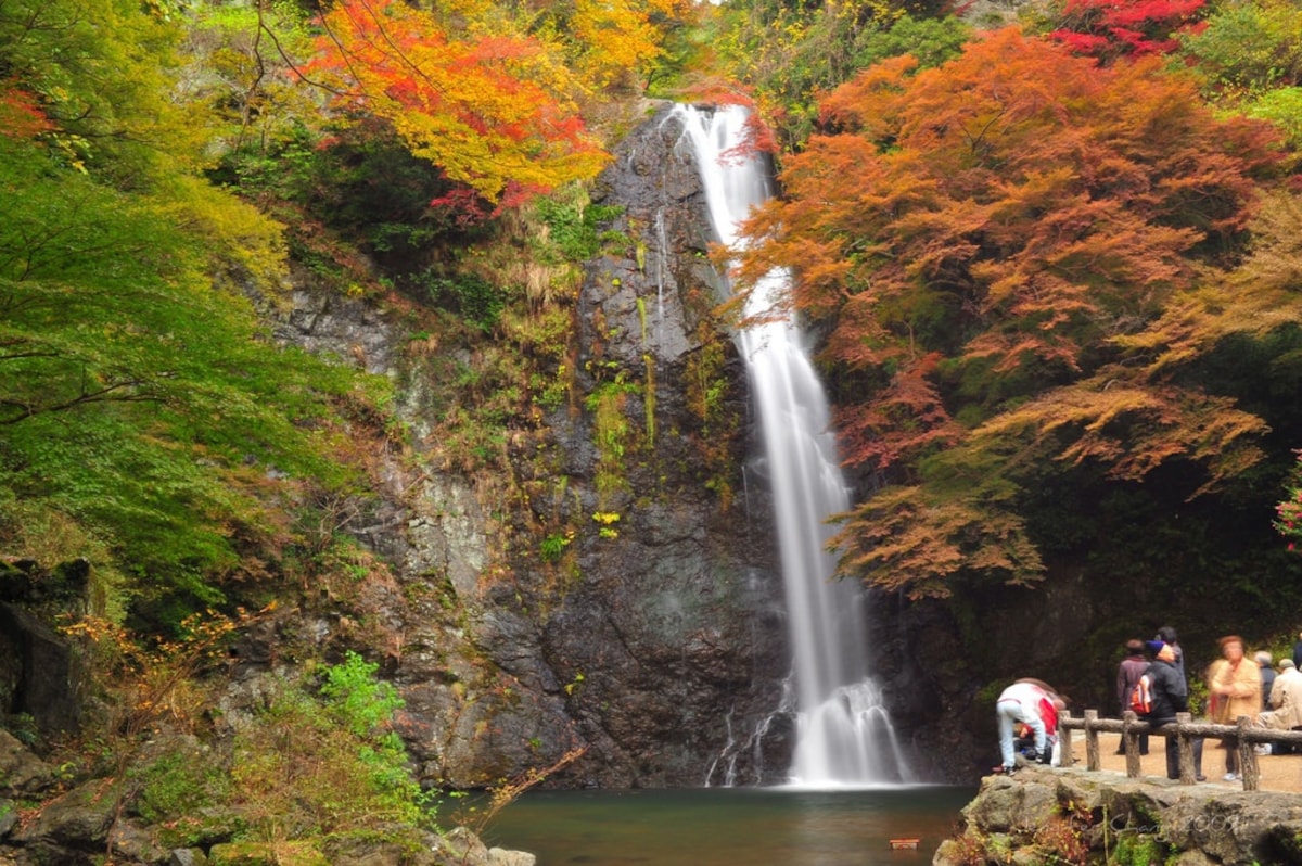 4. น้ำตกมิโนะ (Mino Falls)