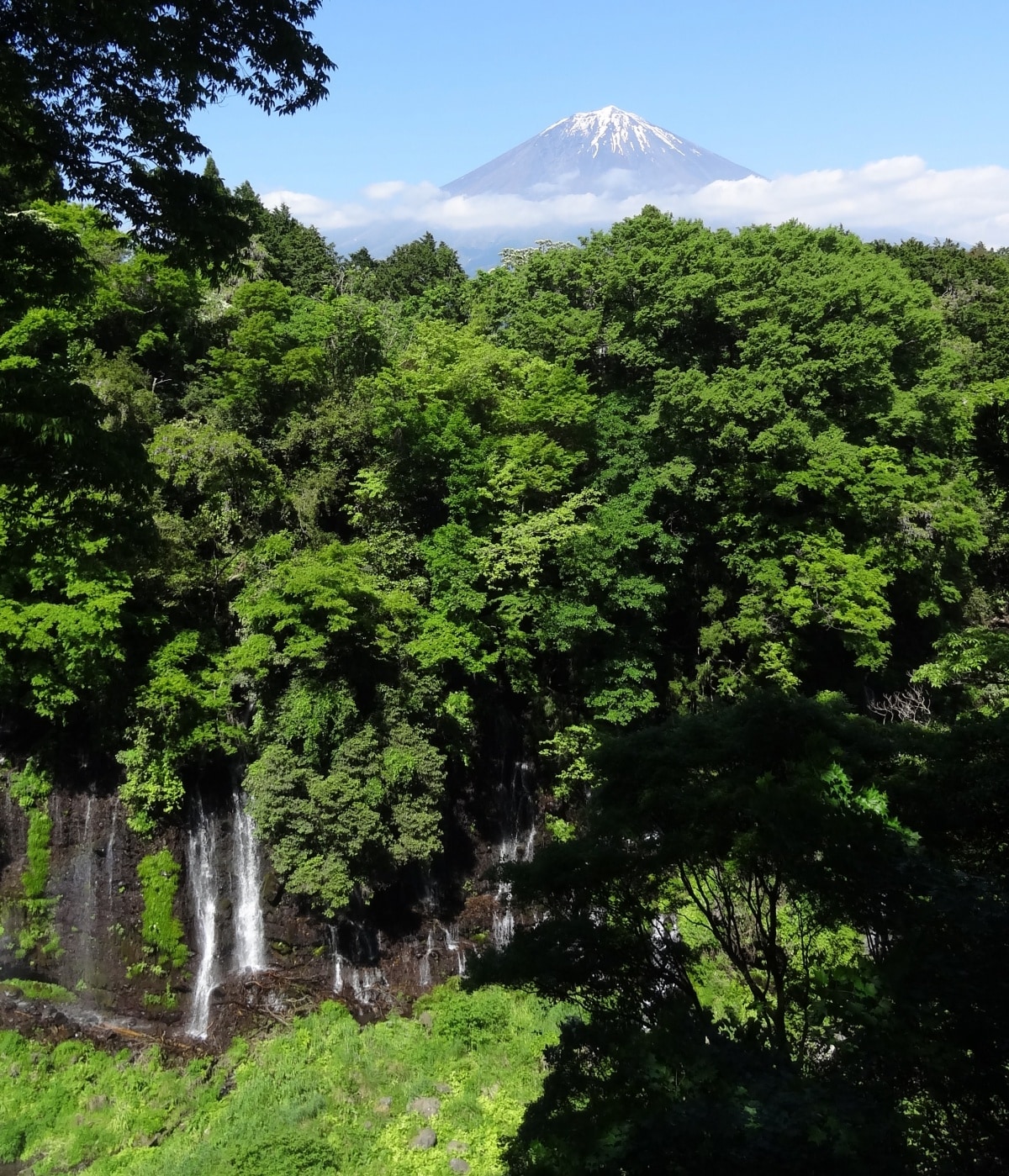 5. น้ำตกชิราอิโตะ (Shiraito Falls)