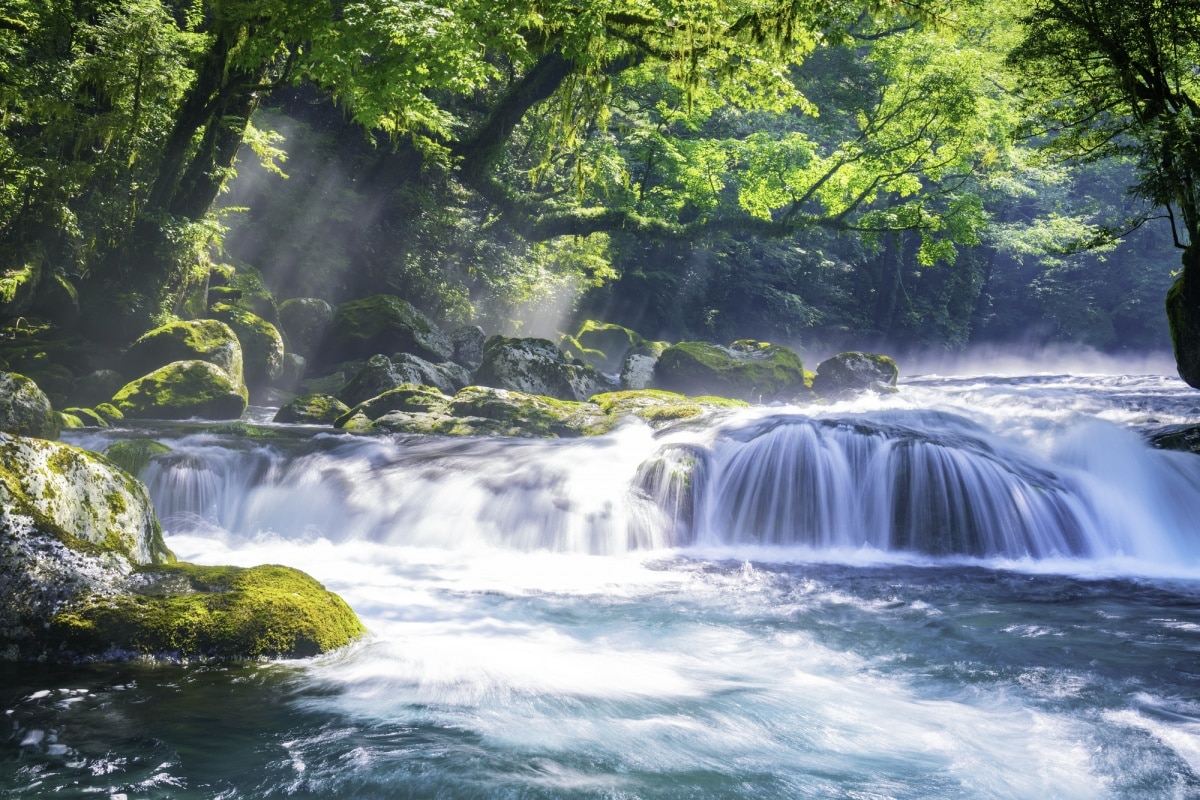 9. หุบเขาคิคุจิ (Kikuchi Gorge)