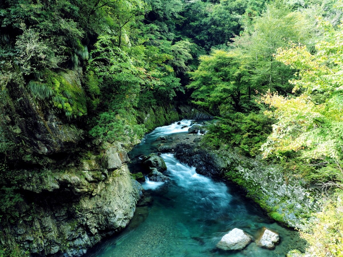 日本三大秘境③宮崎「椎葉村」