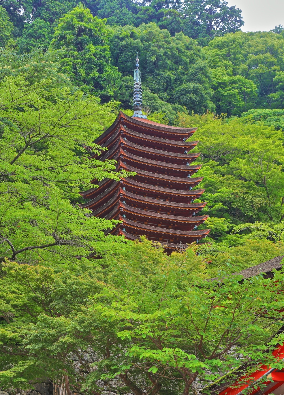 9. ศาลเจ้าทานซาน (Tanzan Shrine)