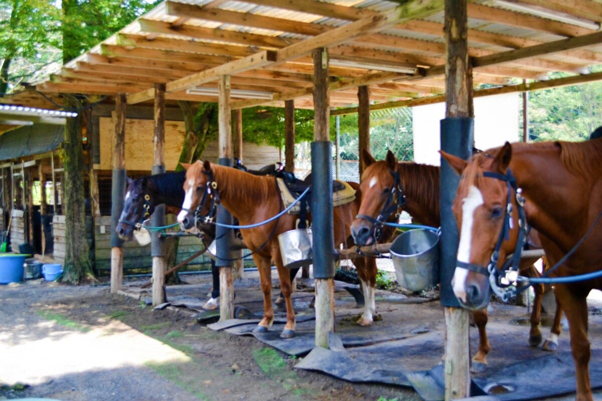 Aso Highland Riding Club