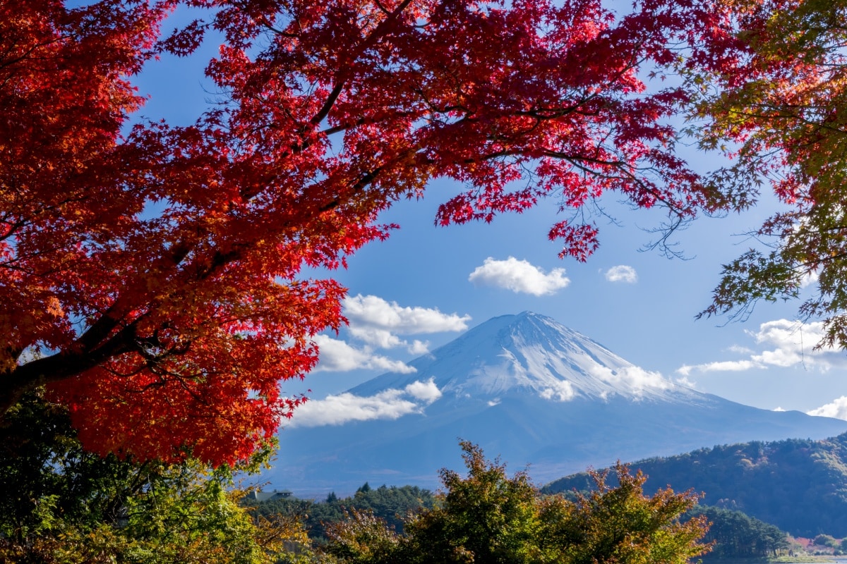 靜岡＆山梨・富士山｜信仰的對象與藝術的源泉