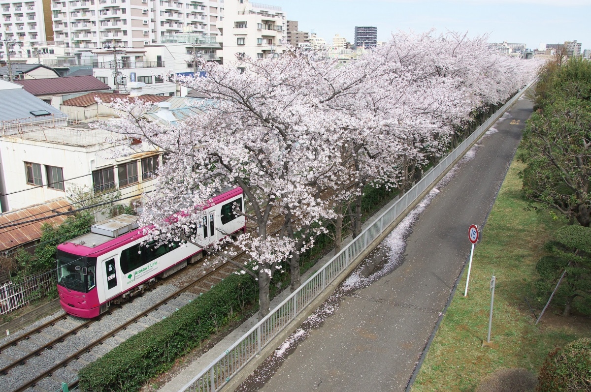 3. โตเกียว (Tokyo)