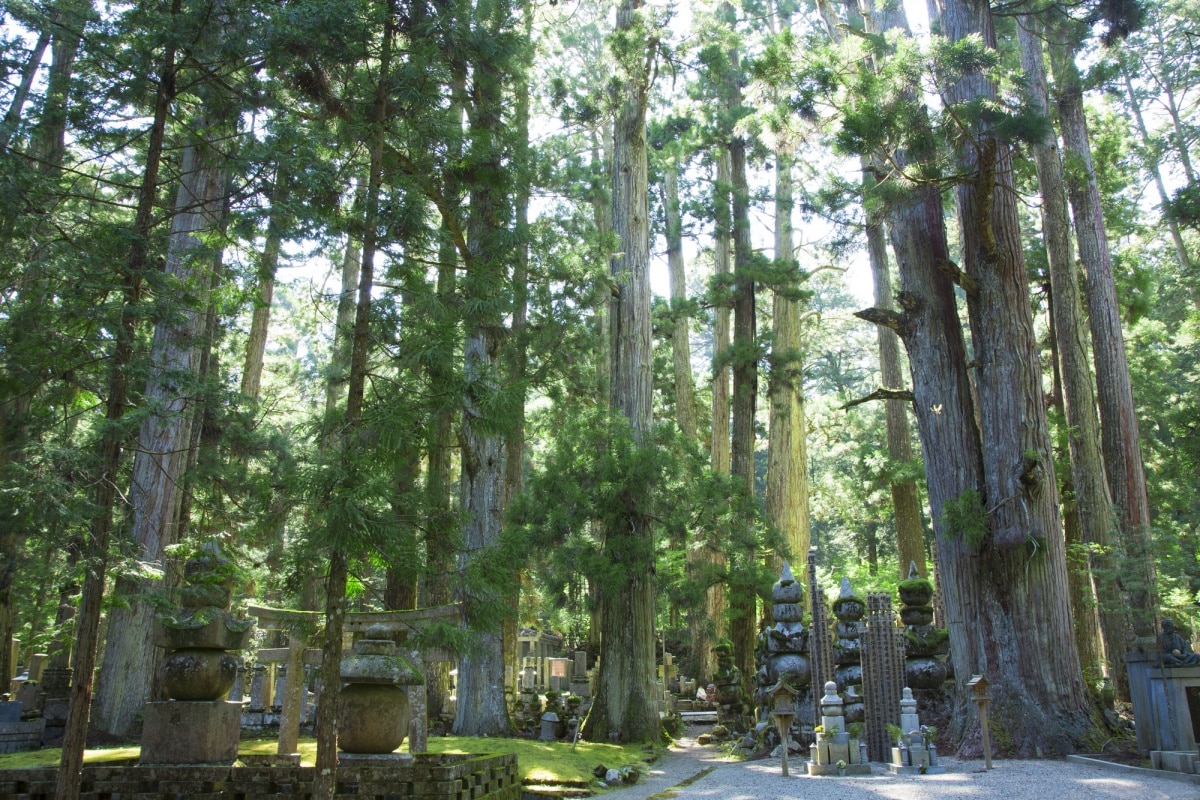 7. โคยะซัง วาคายามา (Koyasan, Wakayama)