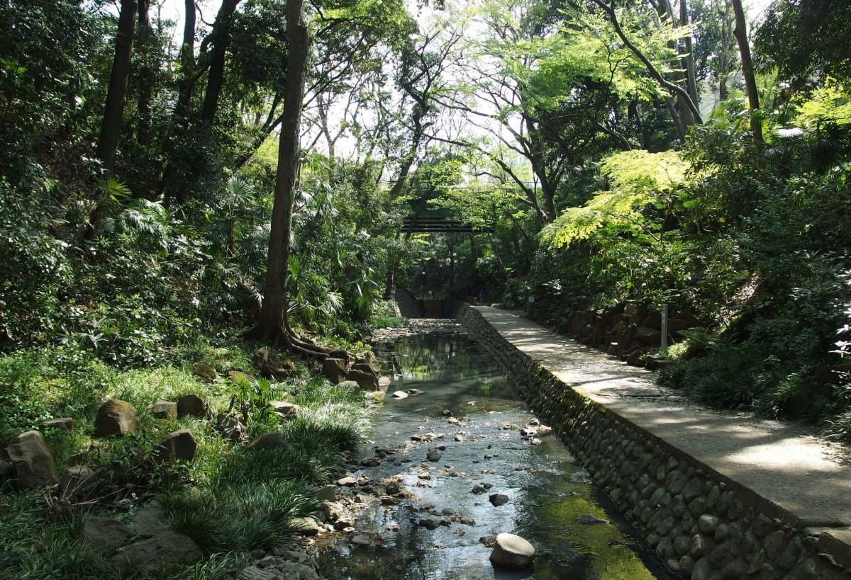 4. Todoroki Valley หุบเขาแห่งธรรมชาติอันอุดมสมบูรณ์กลางเมืองใหญ่