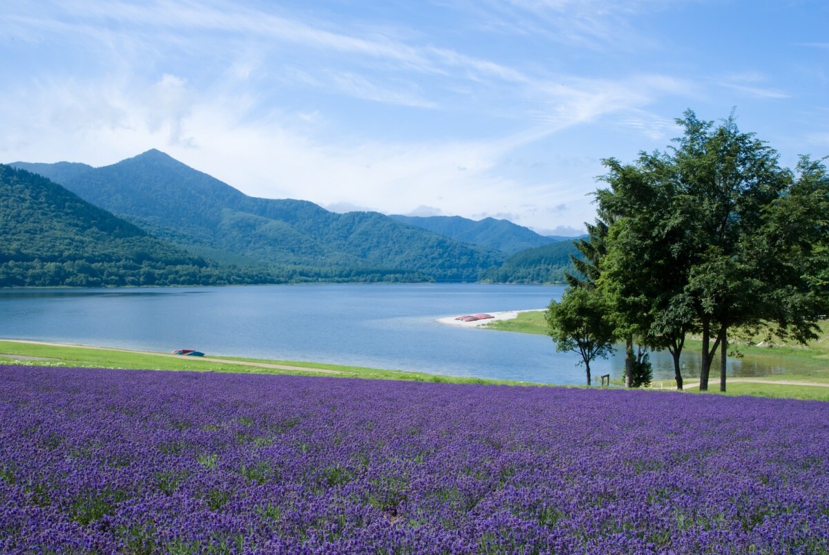 6 Kanayama Lake