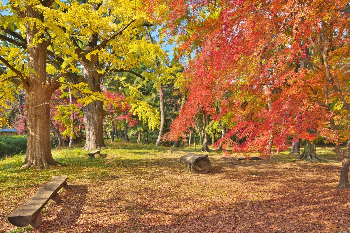 京都自由行 只要稍微了解京都的歷史背景 下次就不用帶導遊啦 All About Japan