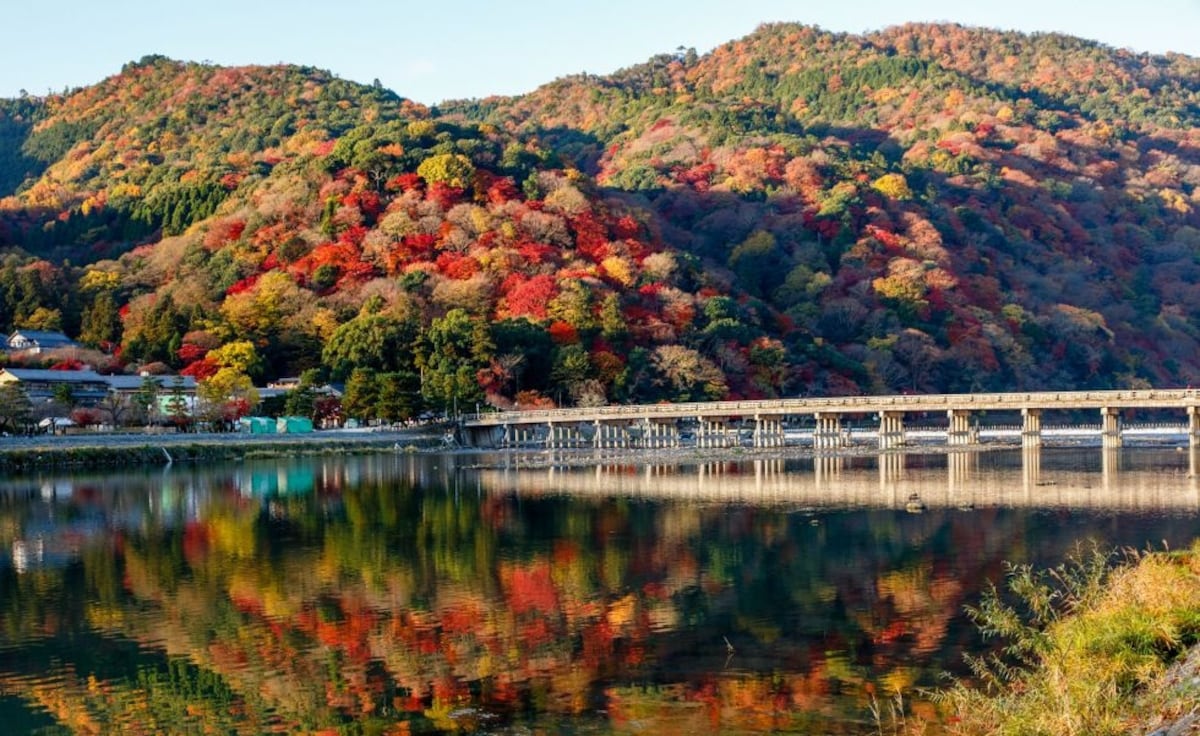 아라시야마(嵐山): 11월 하순~12월 상순