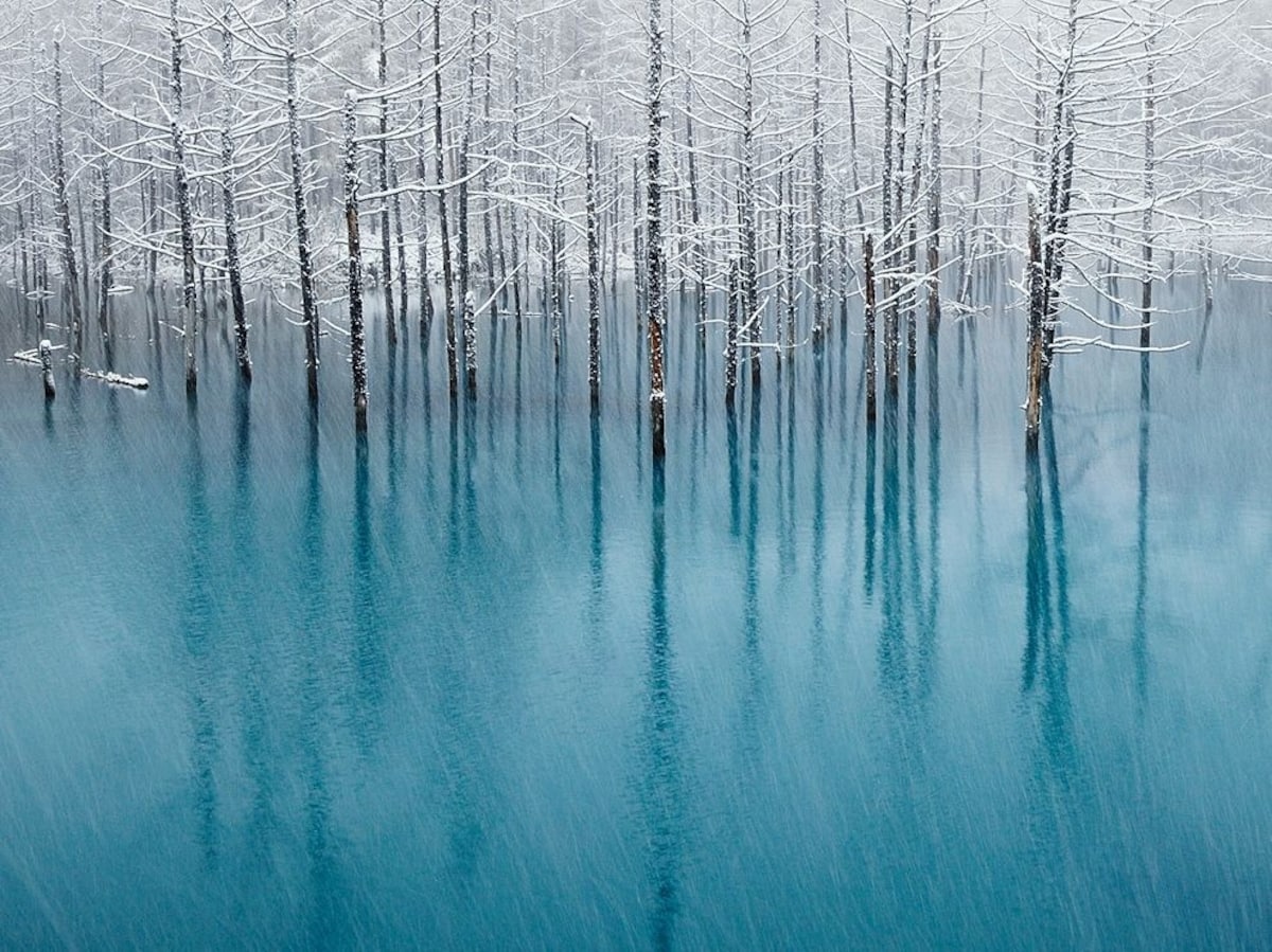 4. บลูพอนด์ ฮอกไกโด (Blue Pond, Hokkaido)