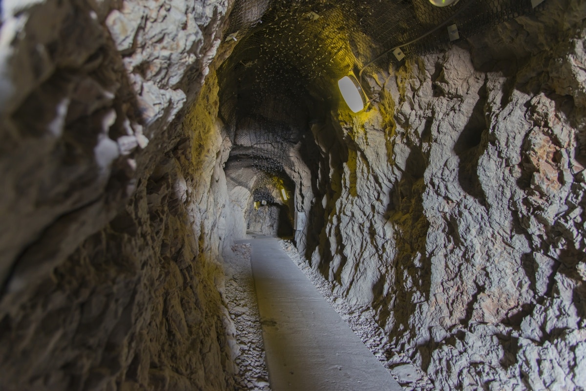 Boat Trip & Iwaya Caves