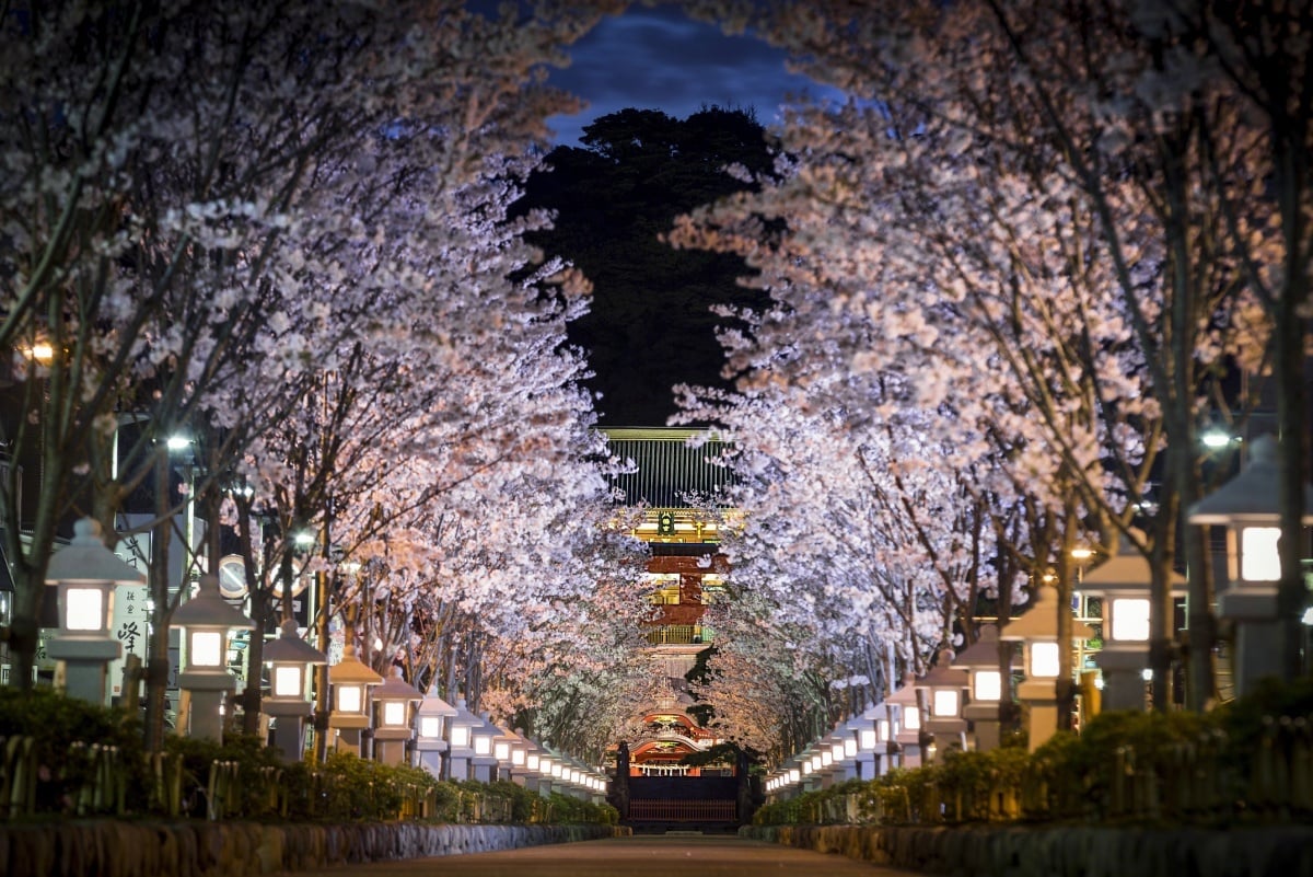 Kamakura Local Tips