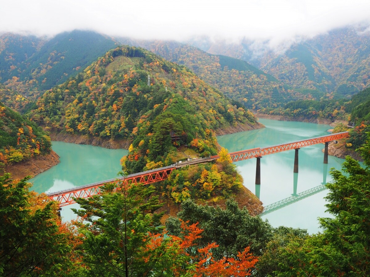 3. สถานีรถไฟ Okuoikojo จังหวัดชิสึโอกะ (Okuoikojo, Shizuoka)