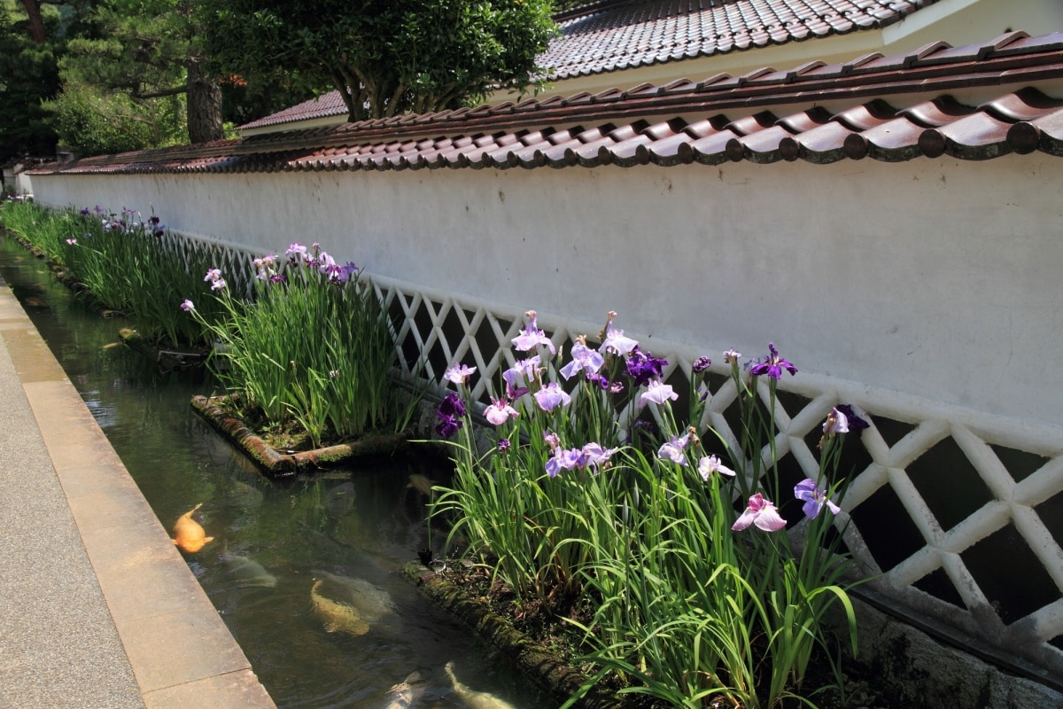 8. ย่านเมืองเก่าสึวาโนะ จังหวัดชิมาเนะ (Tsuwano old town, Shimane)