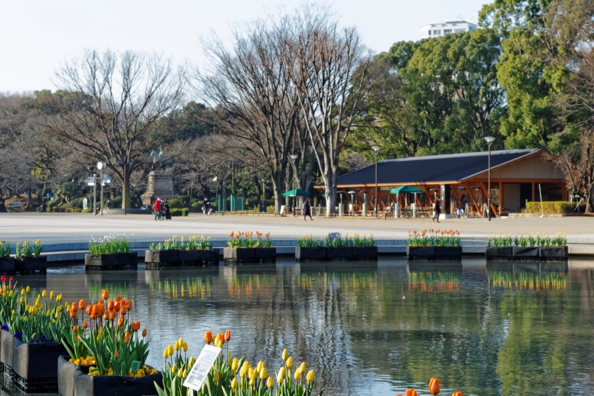 8. สตาร์บัคส์ สาขาสวนอุเอโนะ โตเกียว (Starbucks Ueno Park, Tokyo)