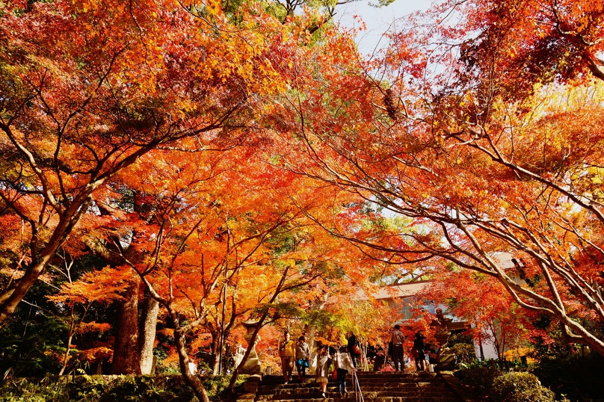 10 Kamado Shrine (Fukuoka)