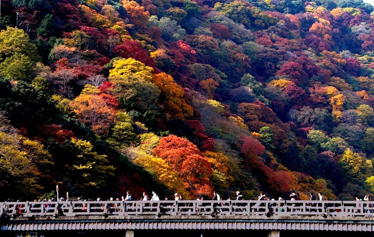 10:30~10:45 도게츠교(渡月橋)