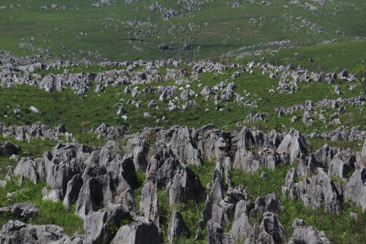 4. ที่ราบสูงอะคิโยชิได (Akiyoshidai Plateau)