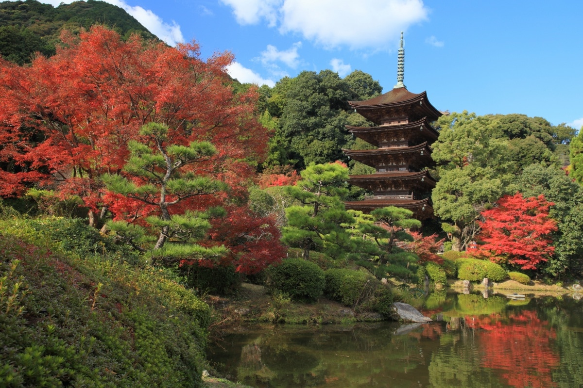 7. วัดรุริโคจิ (Rurikoji Temple)