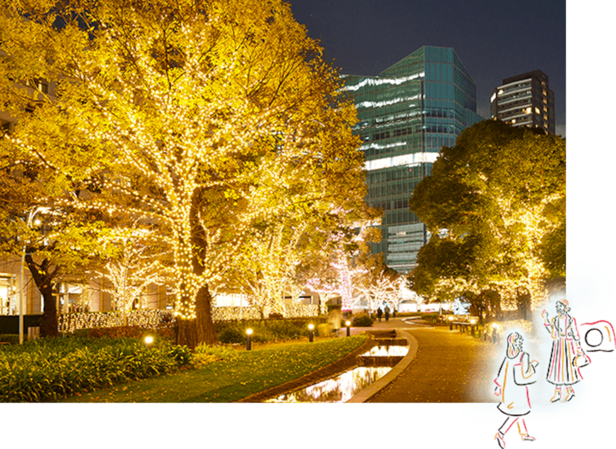 Garden Illumination