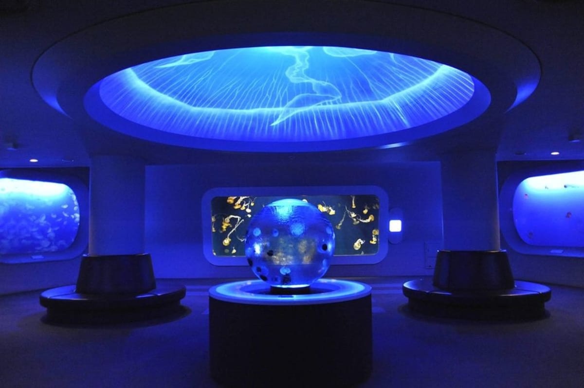 10. Enoshima Aquarium