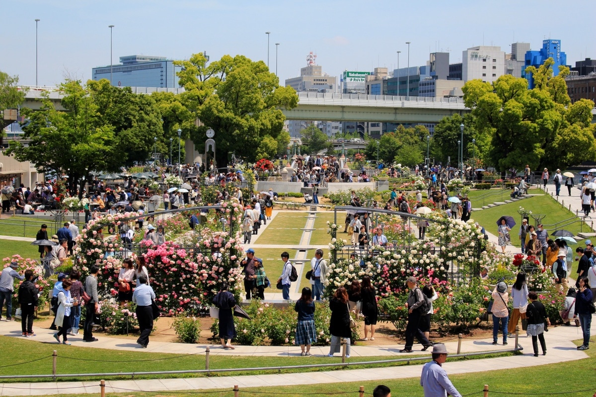 5. สวนสาธารณะ นาคาโนะชิมะ โอซาก้า (Nakanoshima Park, Osaka)