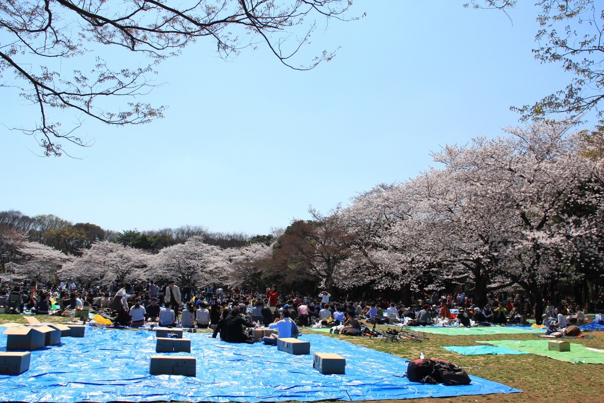 4 Yoyogi Park - สวนโยโยงิ