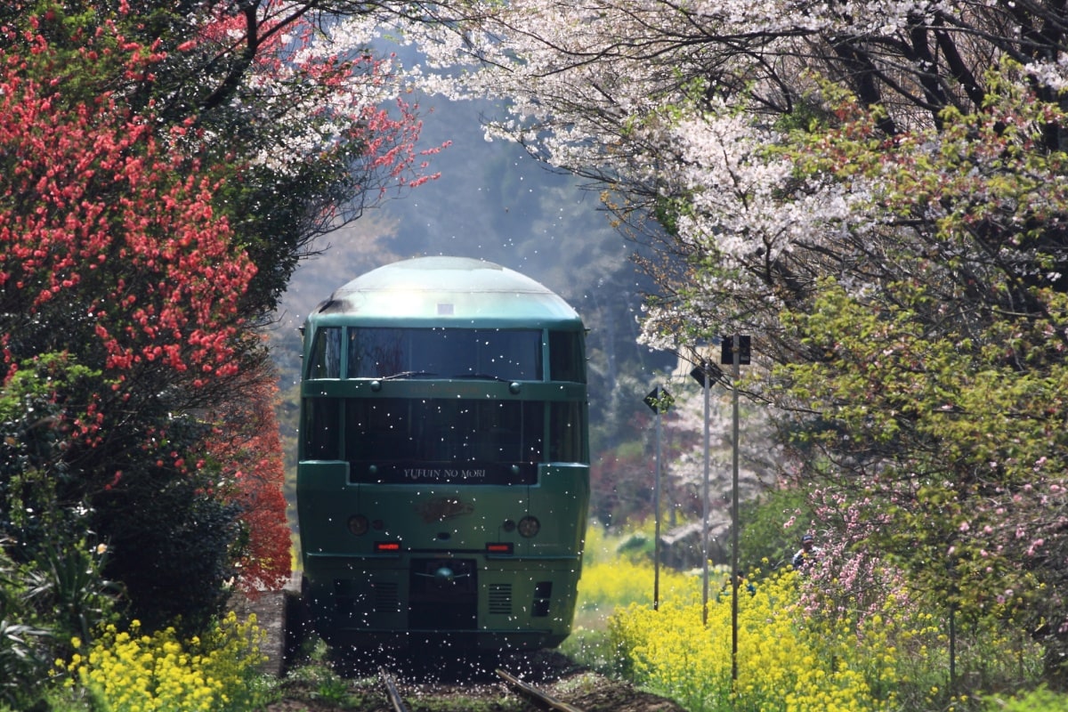 เมืองท่องเที่ยวแนะนำในภูมิภาคคิวชู (Kyushu)