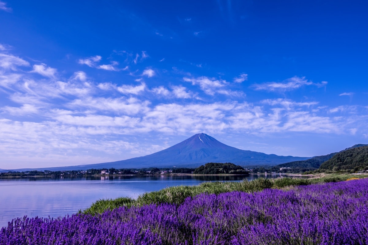 3. สวนสาธารณะโออิชิ (Oishi Park)