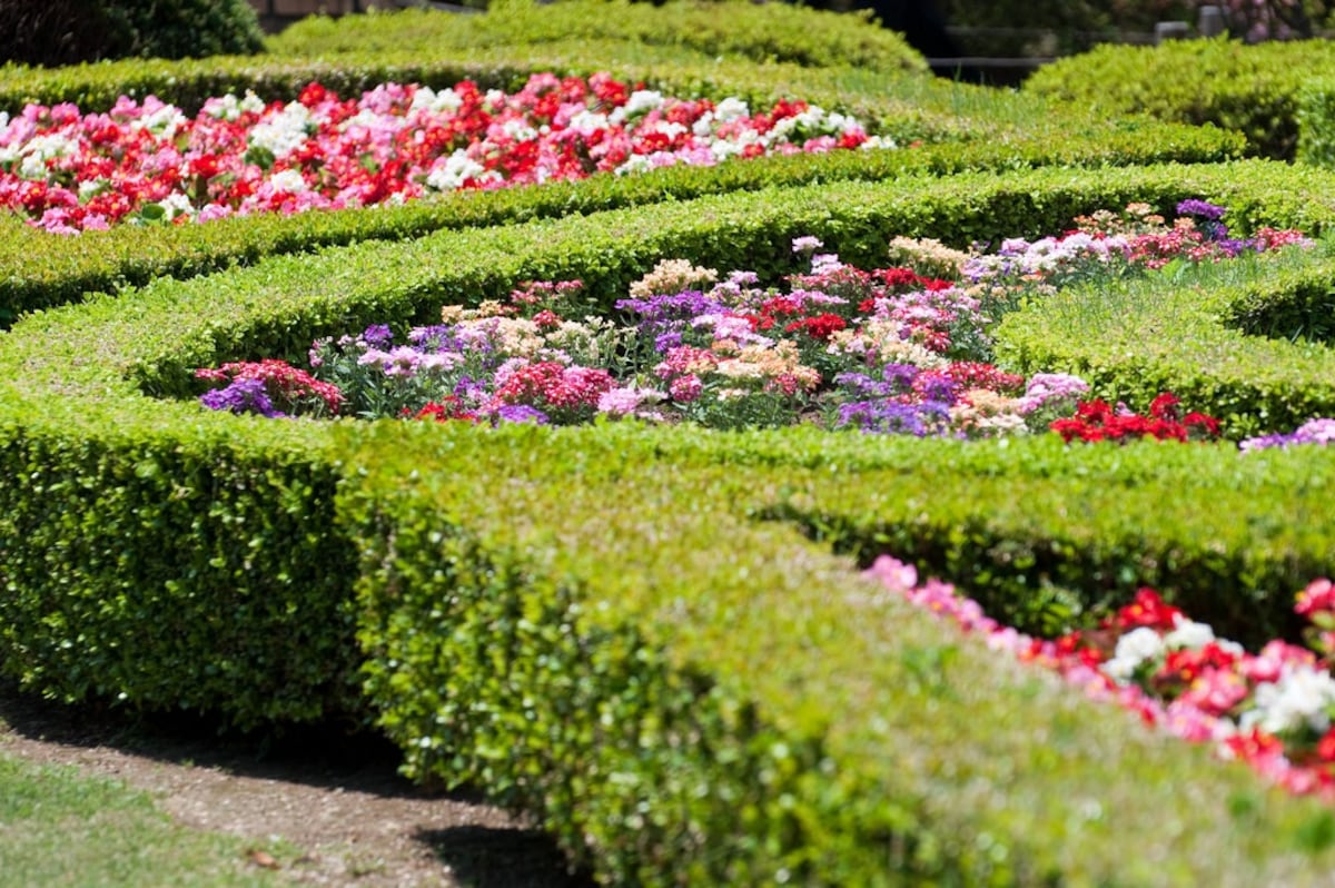 5 Kyu-Furukawa Gardens