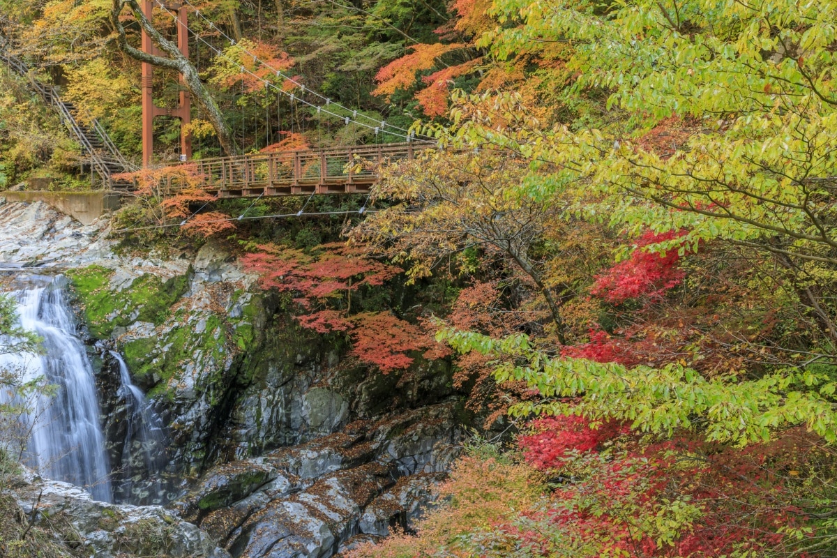 9. Mitarai Valley - Tenkawa