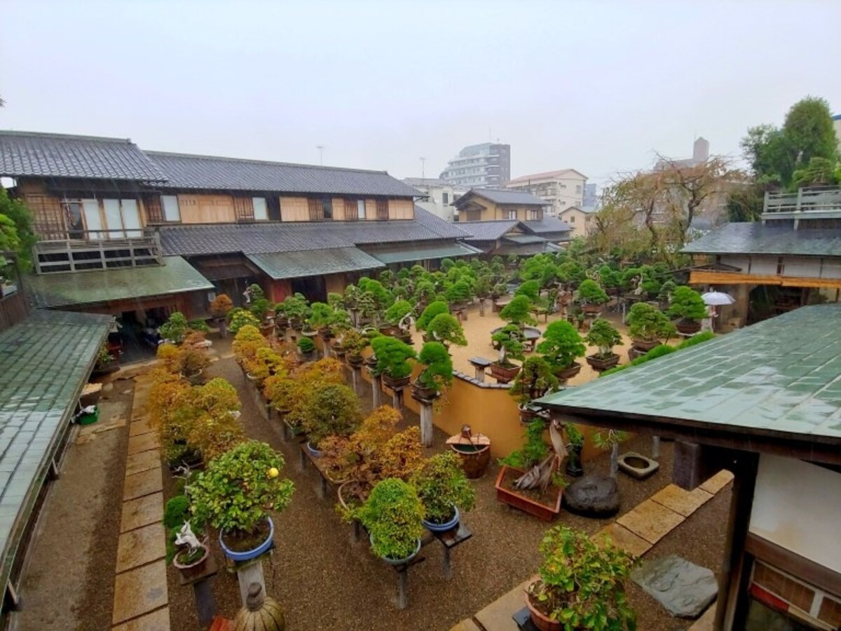 在東京市中心尋找市區休閒陸洲 春花園bonsai美術館 澀谷 代官山散策 All About Japan