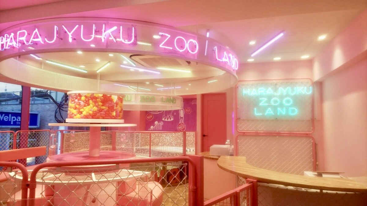 5 คาเฟ่สวนสัตว์ฮาราจุกุ (Harajuku Kawaii Zooland)