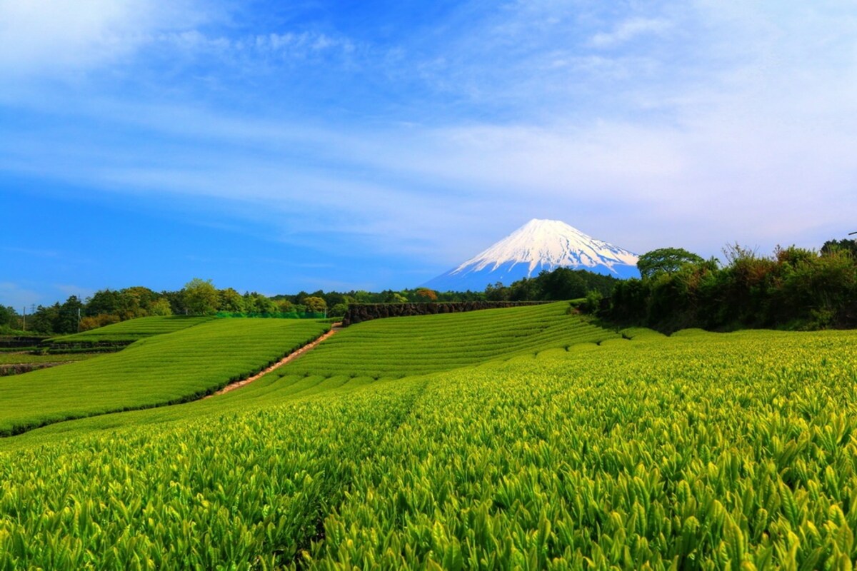 4 Grinpia Makinohara (Shizuoka)