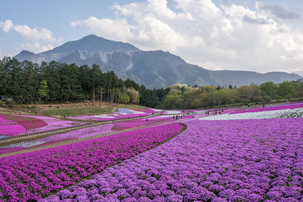 3 Hitsujiyama Park