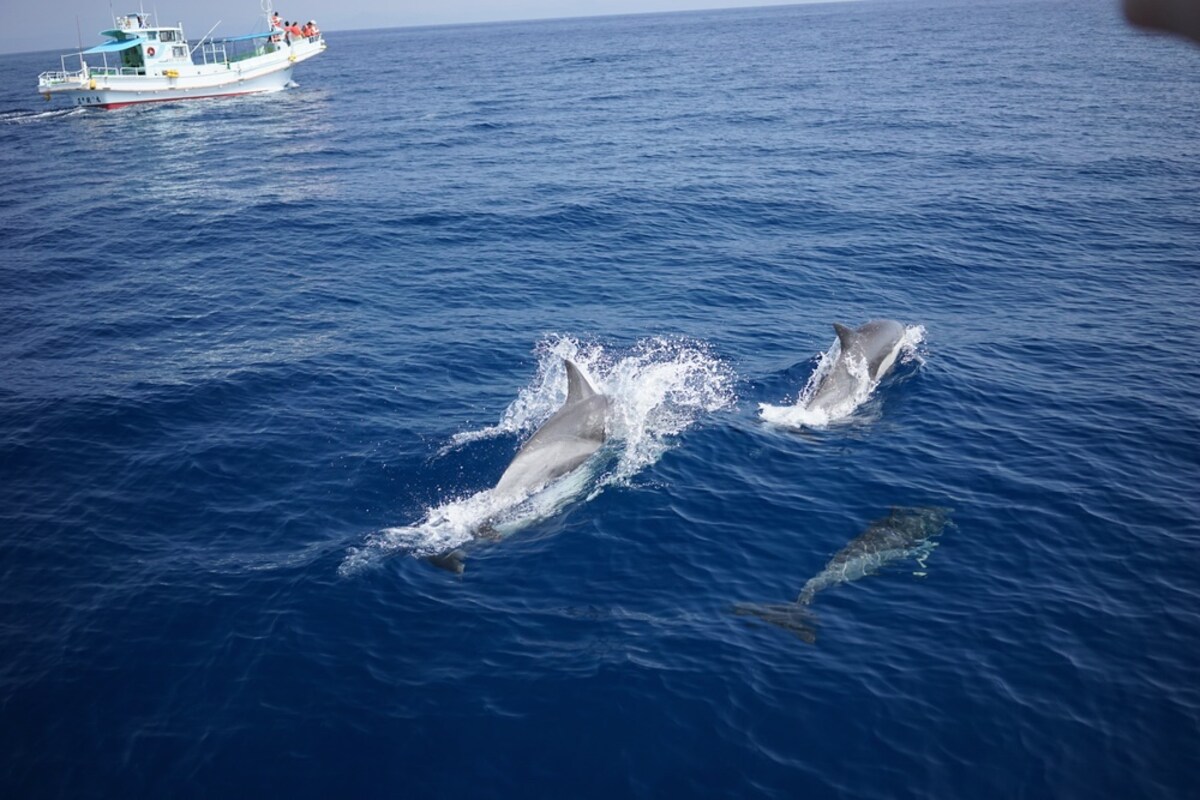 5 Amakusa Island Group (Kumamoto)