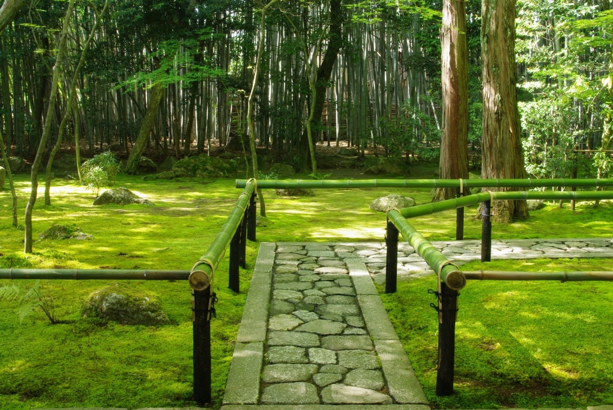 3. ป่าไผ่แห่งที่สองในเกียวโตที่วัดโคโตอิน (Bamboo Forest at Kotoin Temple)