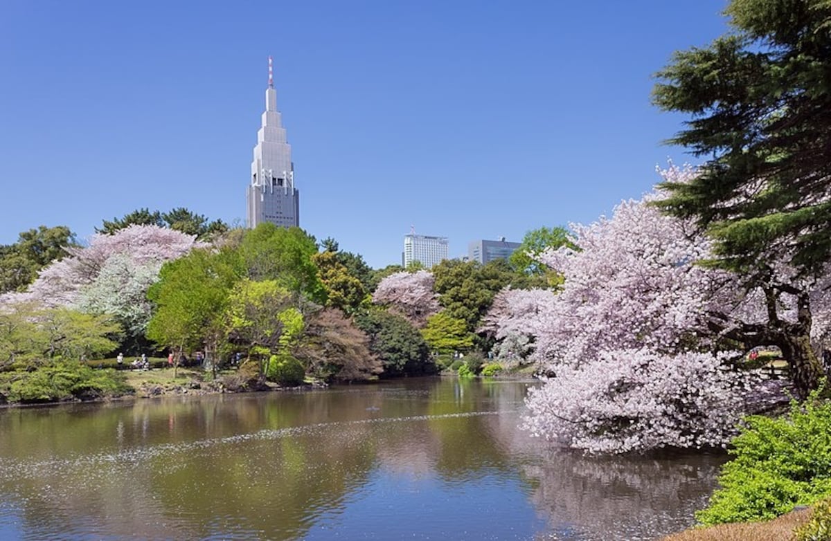 4.ชมซากุระใกล้เมืองที่สวน Shinjuku Gyoen