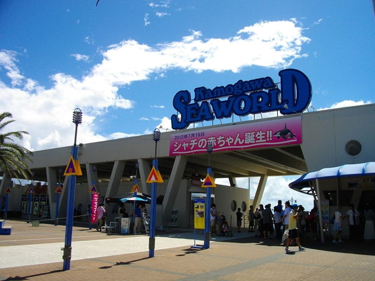 5 พิพิธภัณฑ์สัตว์น้ำคาโมงาวะซีเวิลด์ (Kamogawa Seaworld)