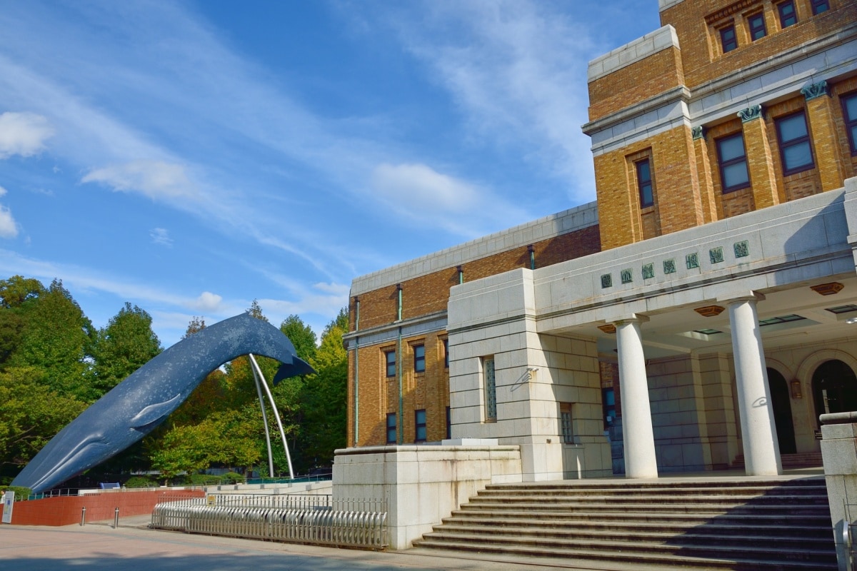 3. พิพิธภัณฑ์ธรรมชาติและวิทยาศาสตร์แห่งชาติ (National Museum of Nature and Science)