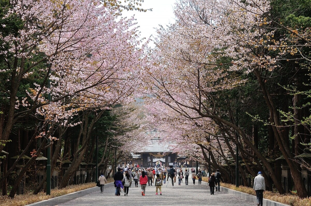 3 ศาลเจ้าฮอกไกโด (Hokkaido Jingu)