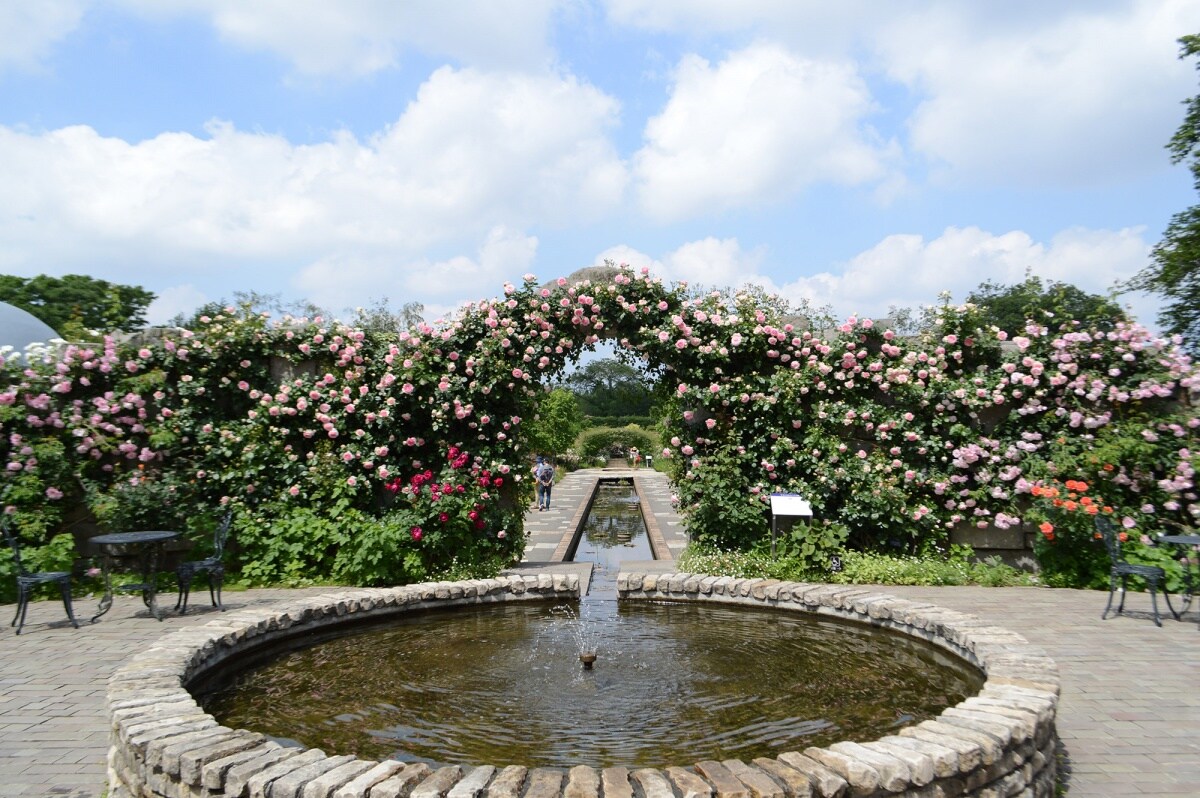 4 สวนดอกไม้โทบุ (Tobu Treasure Garden)