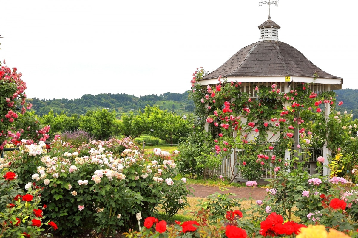 สวนสาธารณะโมกามิกาวะฟุรุซาโตะ (Mogamikawa Furusato Park)