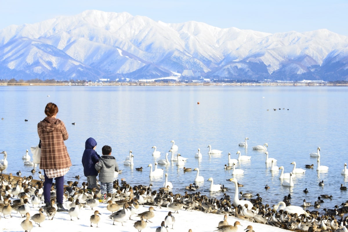 6. ทะเลสาบอินาวาชิโระ (Inawashiro Lake)