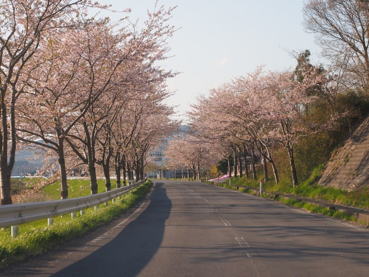 5. Shiroyama Park