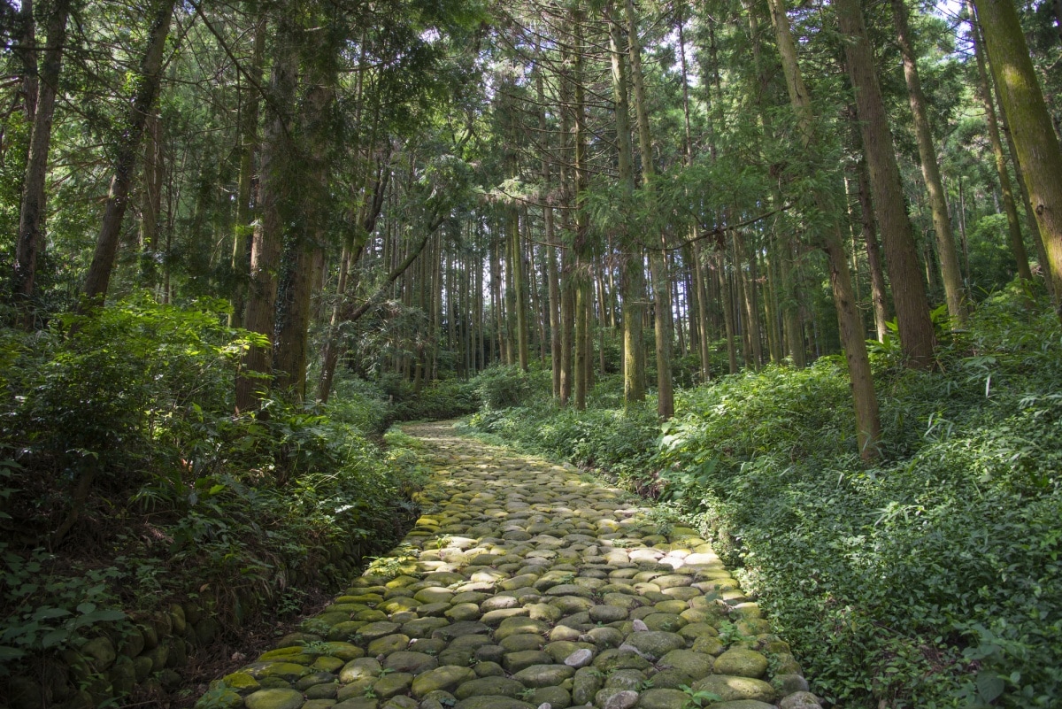 Wet en regelgeving Kinderpaleis Oeganda Hiking Japan's Ancient Roads | All About Japan
