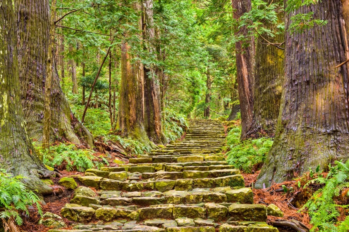 4. Kumano Kodo